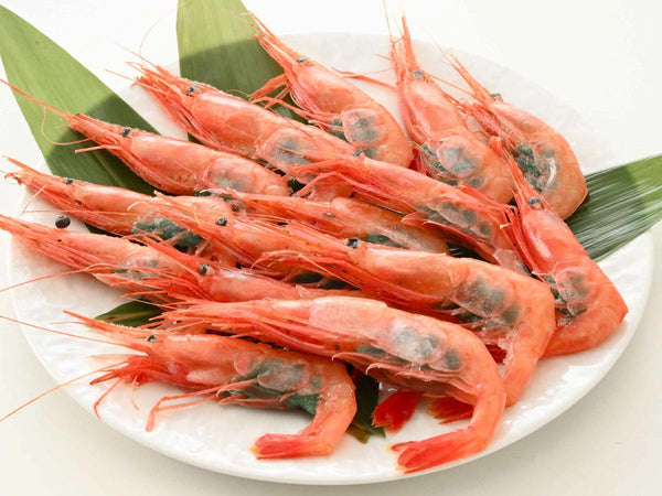 福井県越前産 甘えび 大サイズ【冷凍】