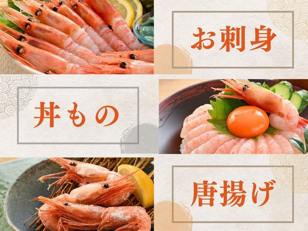 福井県越前産 無添加 甘えび 大サイズ