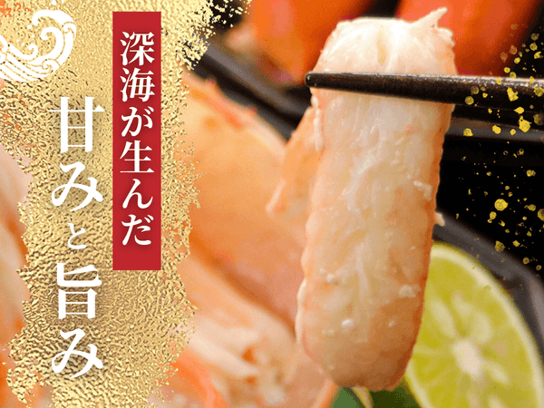 越前産 紅ズワイガニ【冷蔵】