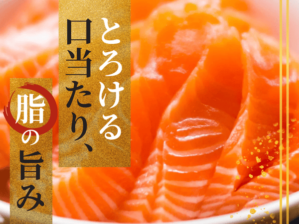 国産 越前 炙り サーモン ゆず 5袋【冷凍】