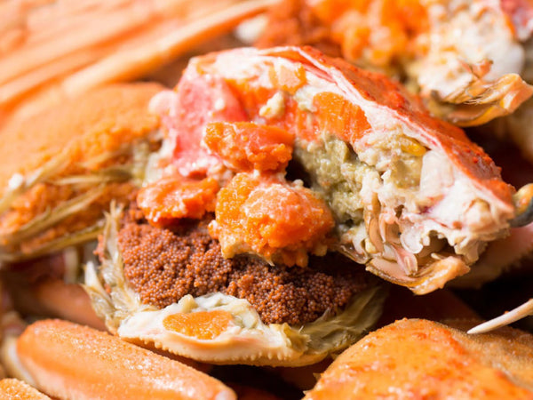 越前せいこ蟹 甲羅盛り