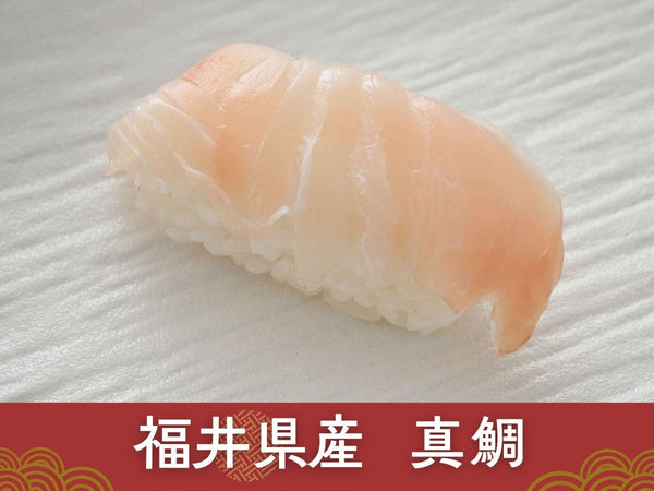 冷凍 越前握り寿司 6貫 1パック× 2 合計12貫