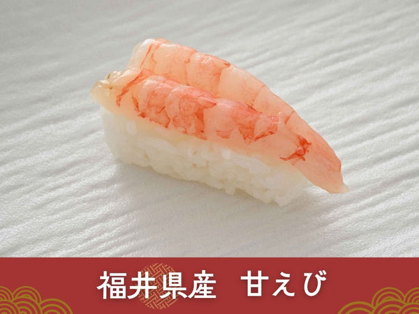 冷凍 越前握り寿司 6貫 1パック× 2 合計12貫