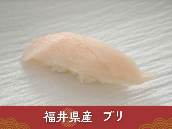 冷凍 越前握り寿司 6貫 1パック× 2 合計12貫