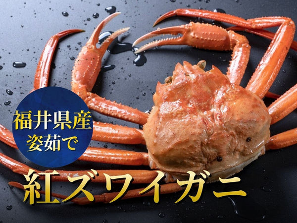 福井県産 紅ズワイガニ【冷蔵】