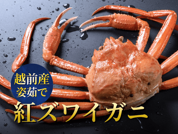 越前産 紅ズワイガニ【冷蔵】