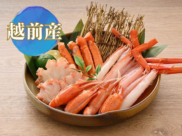 越前産 生紅ずわいがに ハーフポーション (足・肩・ツメ)