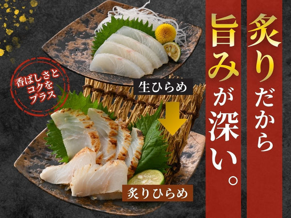 国産 越前 炙り ひらめ 5袋【冷凍】